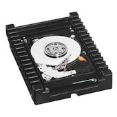 Western Digital VelociRaptor 1TB (WD1000DHTZ) 