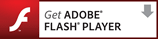 get adobe flash player Top 10 Things to do with a New Computer