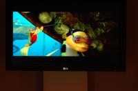 LG LCD