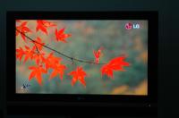 LG LCD