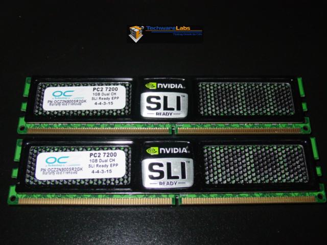 Ram Closeup