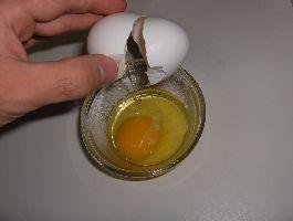 Wicked Lasers Torch Egg