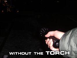 Wicked Lasers Torch