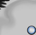 Launcher