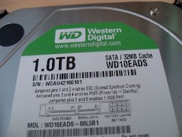 Western Digital Caviar Green 1TB Drive