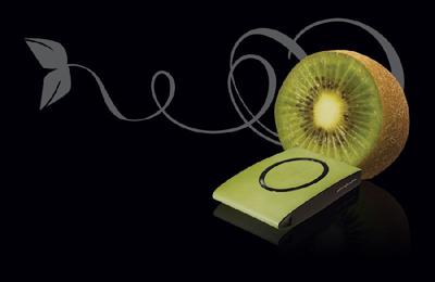 SimpleTech 250GB Signature Portable Hard Drive