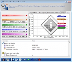 sisoft_procarith.jpg