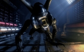 avp_d3d11_benchmark-2010-09-21-19-44-01-64