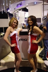 ces2010-09-135
