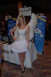 ces-2012-booth-babes-day1-03