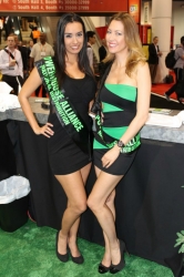 ces-booth-babes-2013-day1-002