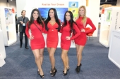 ces-bb126