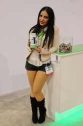 ces-bb136