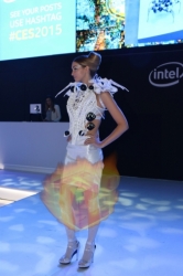 CES2015-boothbabes-gallery2-078