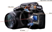 dslr-cutaway