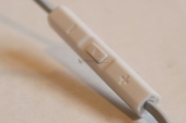 fannywangbuds-1