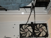 fans-plugged-in