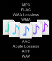 Logitech Squeezebox Boom plays most digital audio formats