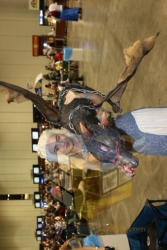Megacon-2017-185