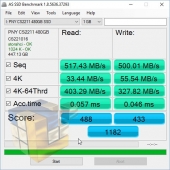 PNY CS 2211 - asssd single 2