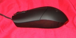 mouse_side.jpg