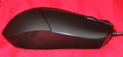 mouse_side2.jpg