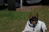 sam_0581