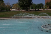 sam_1165