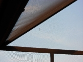 zoom-outdoors-pre-dusk