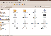 screenshot-read-only-file-browser