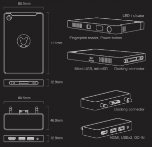 Infocus Kangaroo Diagram Dock