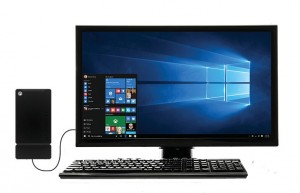 Kangaroo with Windows monitor