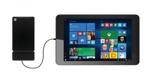 Kangaroo with Windows tablet