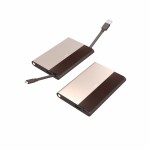 IonBank 5K (Bronze)jpg